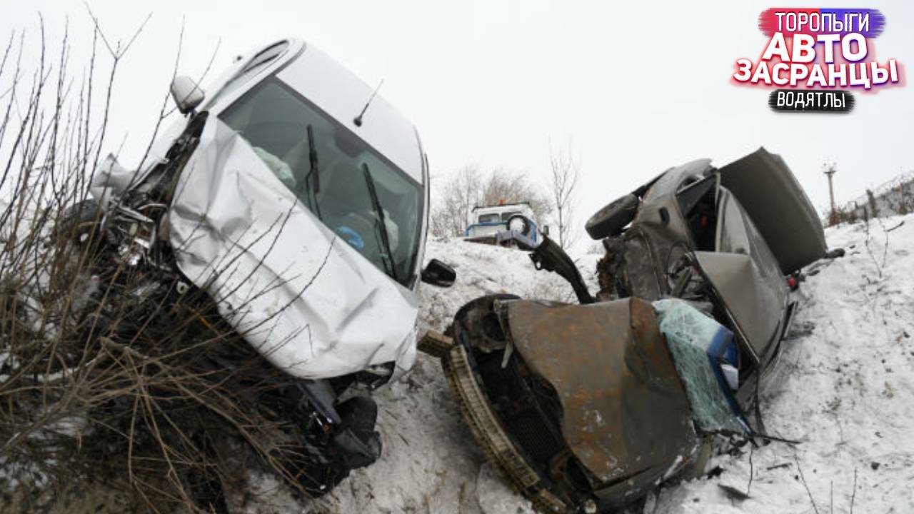Леха, не молчи! Декабрянутые Торопыги и Водятлы на Дороге! ДТП
