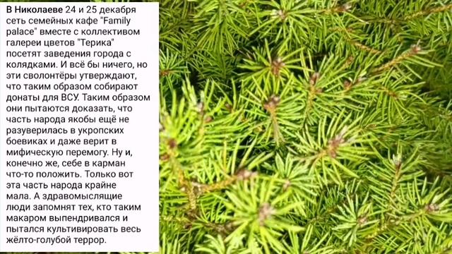 Николаев 23 декабря 2024 года (новости)