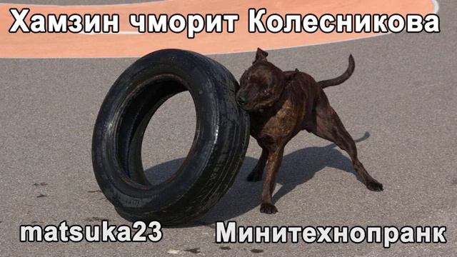 Хамзин чморит Колесникова Минитехнопранк