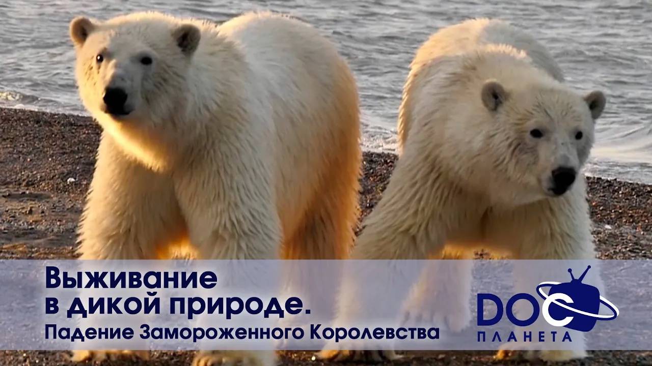 Выживание в дикой природе - Часть 3. Падение Замороженного Королевства - Документальный фильм