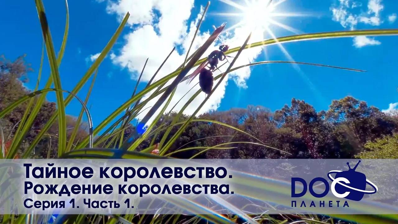 Тайное королевство - Серия 1. Рождение королевства. Часть 2 - Документальный фильм