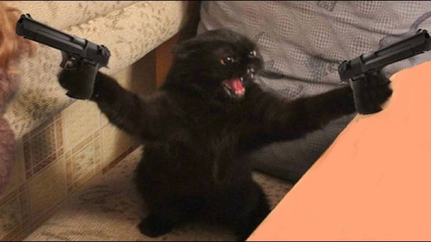 Смешные котики 73