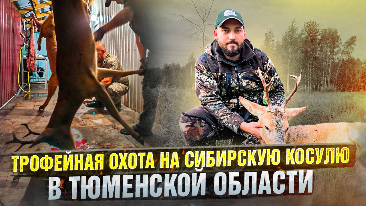 Трофейная охота на сибирскую косулю в Тюменской области