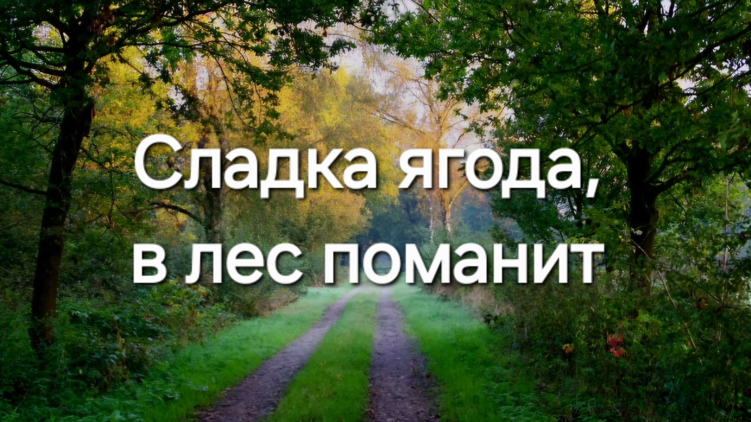 Сладка ягода, в лес поманит