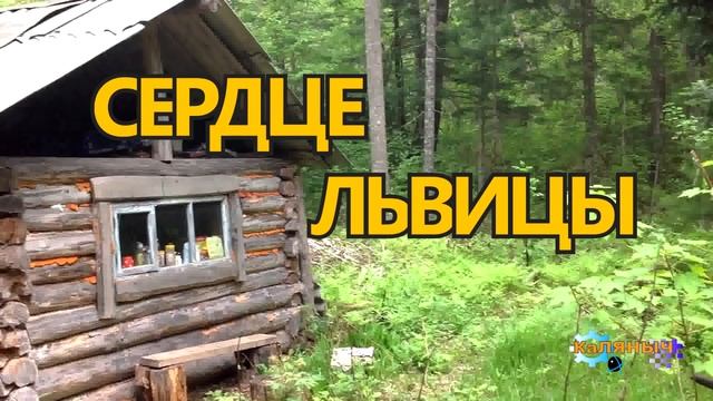 СЕРДЦЕ ЛЬВИЦЫ
