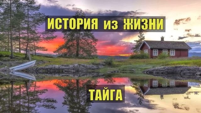 0551 ИСТОРИИ из ЖИЗНИ ЛЕСНИКА СУДЬБА ПОХОДНИКИ в ЛЕСУ в ТАЙГЕ ПРИКОЛЫ ЮМОР СМЕШНЫЕ РАССКАЗЫ