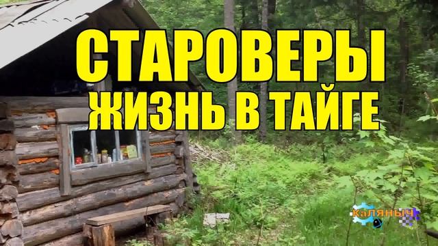 СТАРОВЕРЫ _ ЖИЗНЬ В ТАЙГЕ _ СТАРОВЕРЫ СИБИРИ