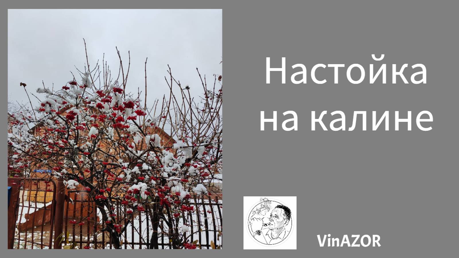 Настойка на калине. Как приготовить настойку на калине.