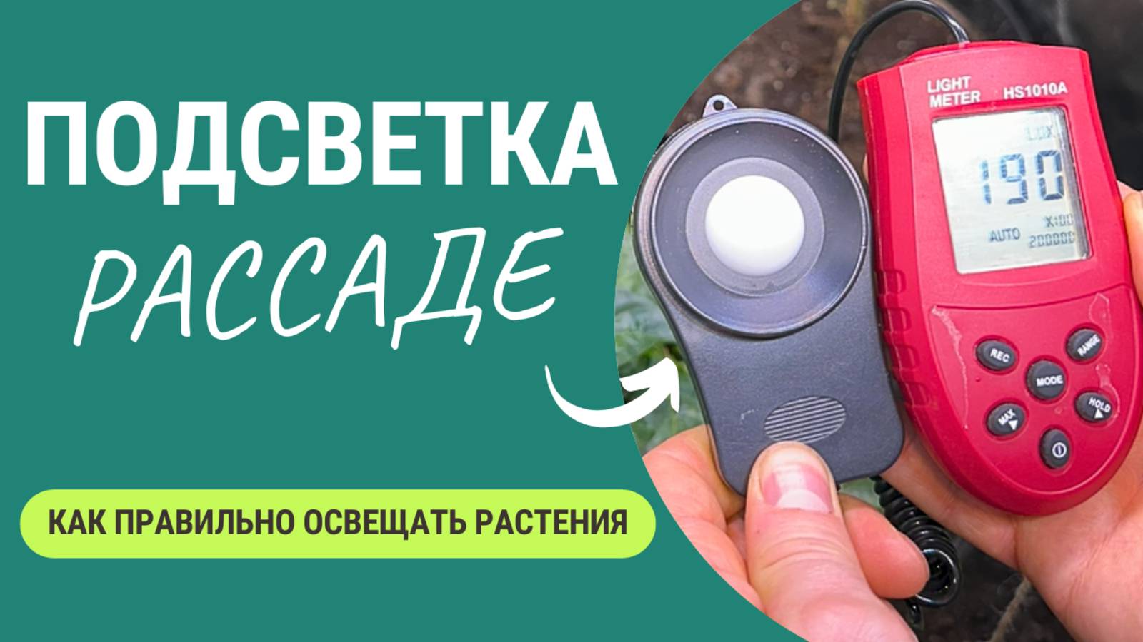 Идеальная Подсветка для Рассады: Ошибки, Которые Погубят Ваш Урожай