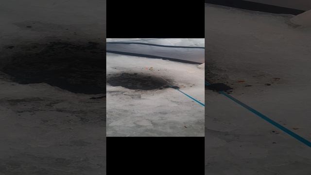 охота и рыбалка