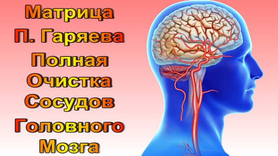 Матрица Гаряева Полное 100% Очищение сосудов Головного Мозга