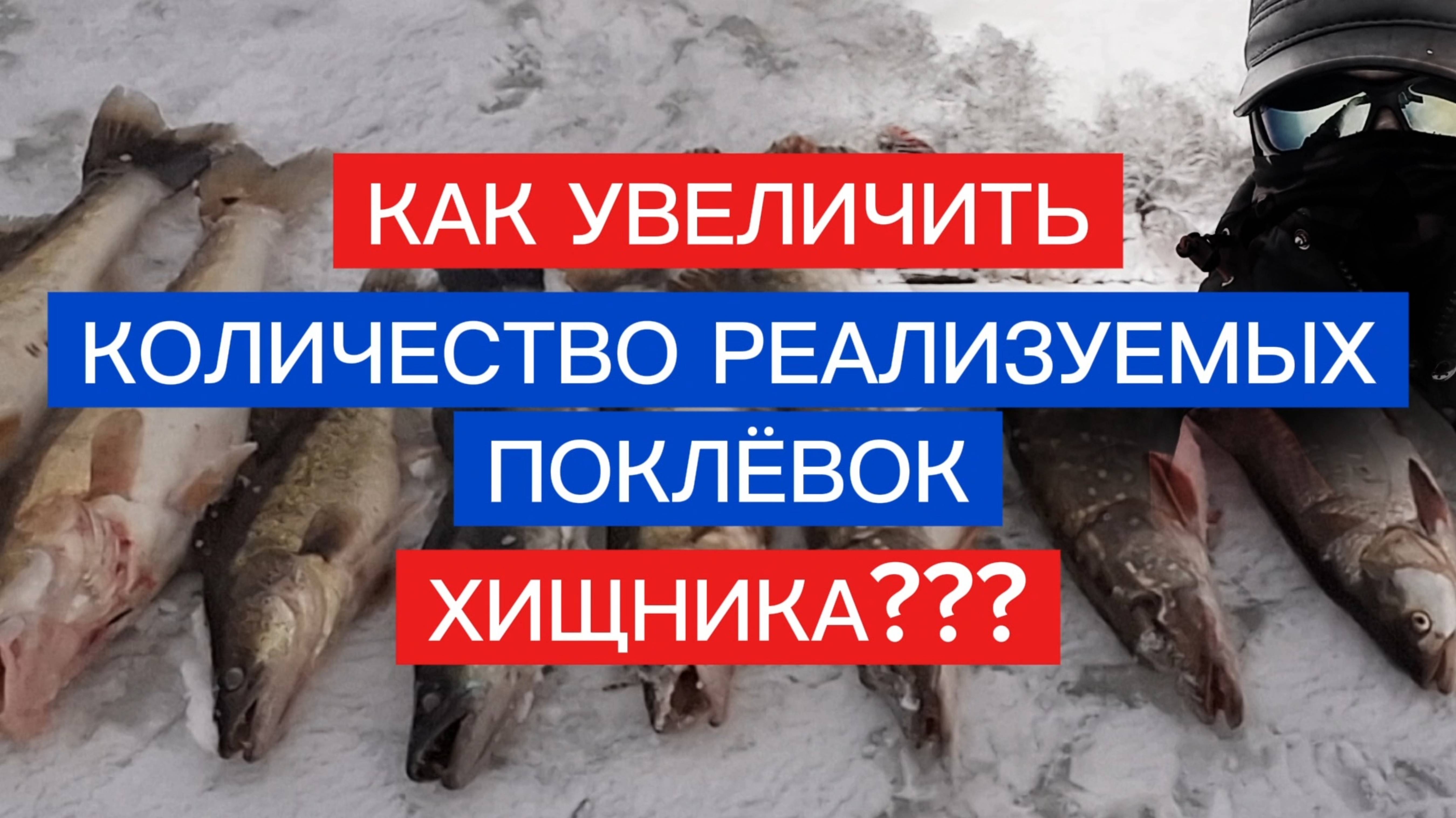 СЕКРЕТ при ловле ХИЩНИКА НА ЖЕРЛИЦУ! УВЕЛИЧИВАЕТ количество РЕЗУЛЬТАТИВНЫХ поклёвок!