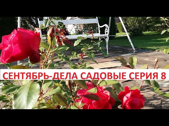 Сентябрь - дела садовые серия № 8.