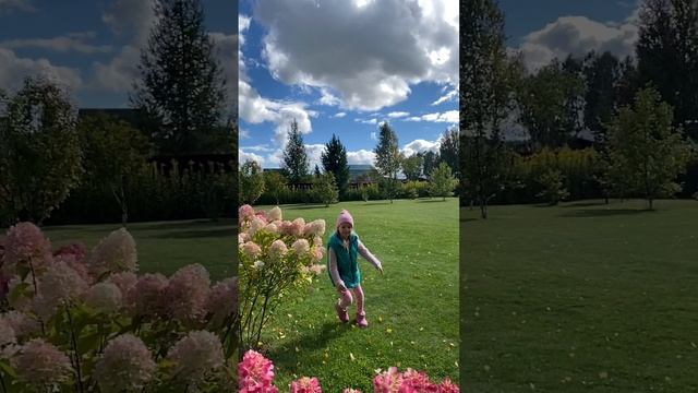 Разное