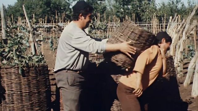 Грузинская комедия Здравствуй, сосед! СССР, Тамаз Гомелаури, 1973