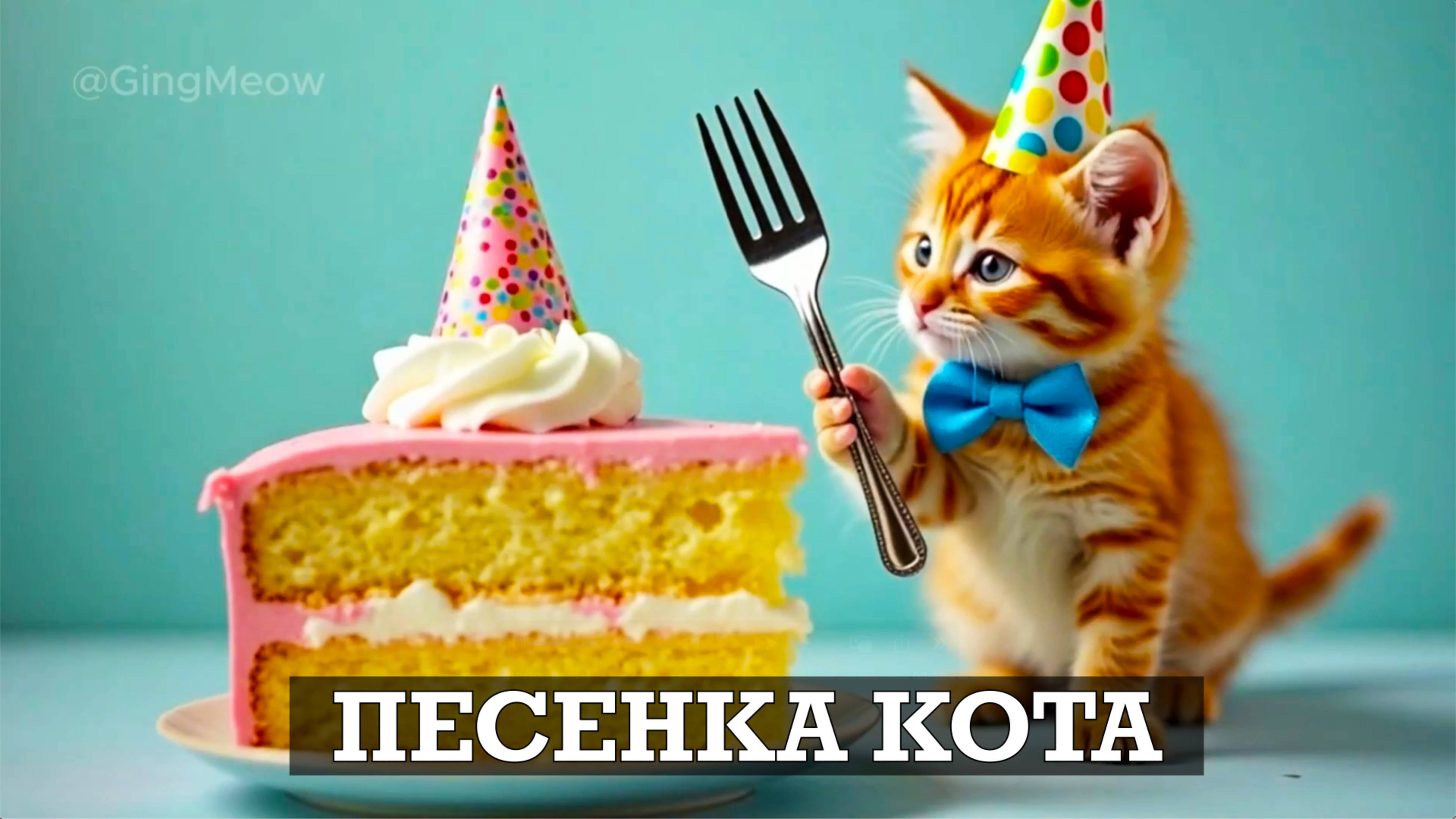 Мультик про котенка | Песенка про веселого котенка | Мультики про животных
