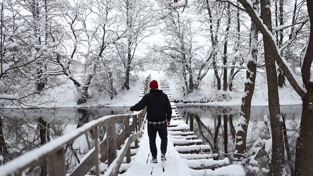 9871021-hd_1920_1080_30fps