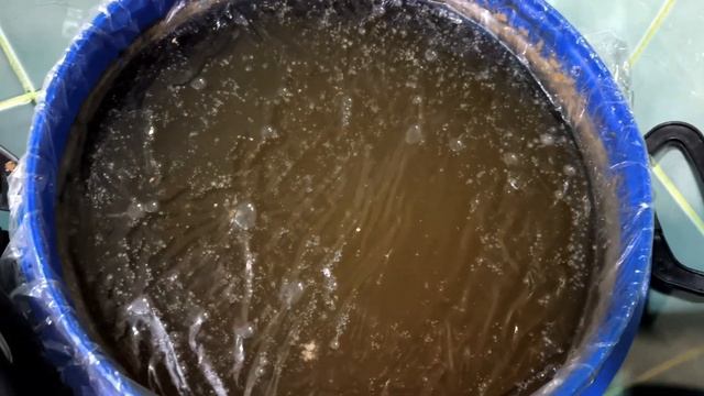 Какие ДРОЖЖИ нужны для приготовления ВИНА!