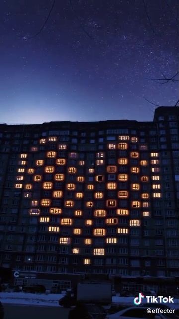 красота