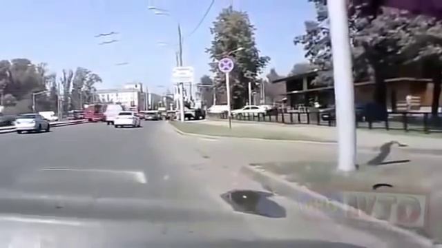 Осторожно, тупые дуры на дороге и за рулем