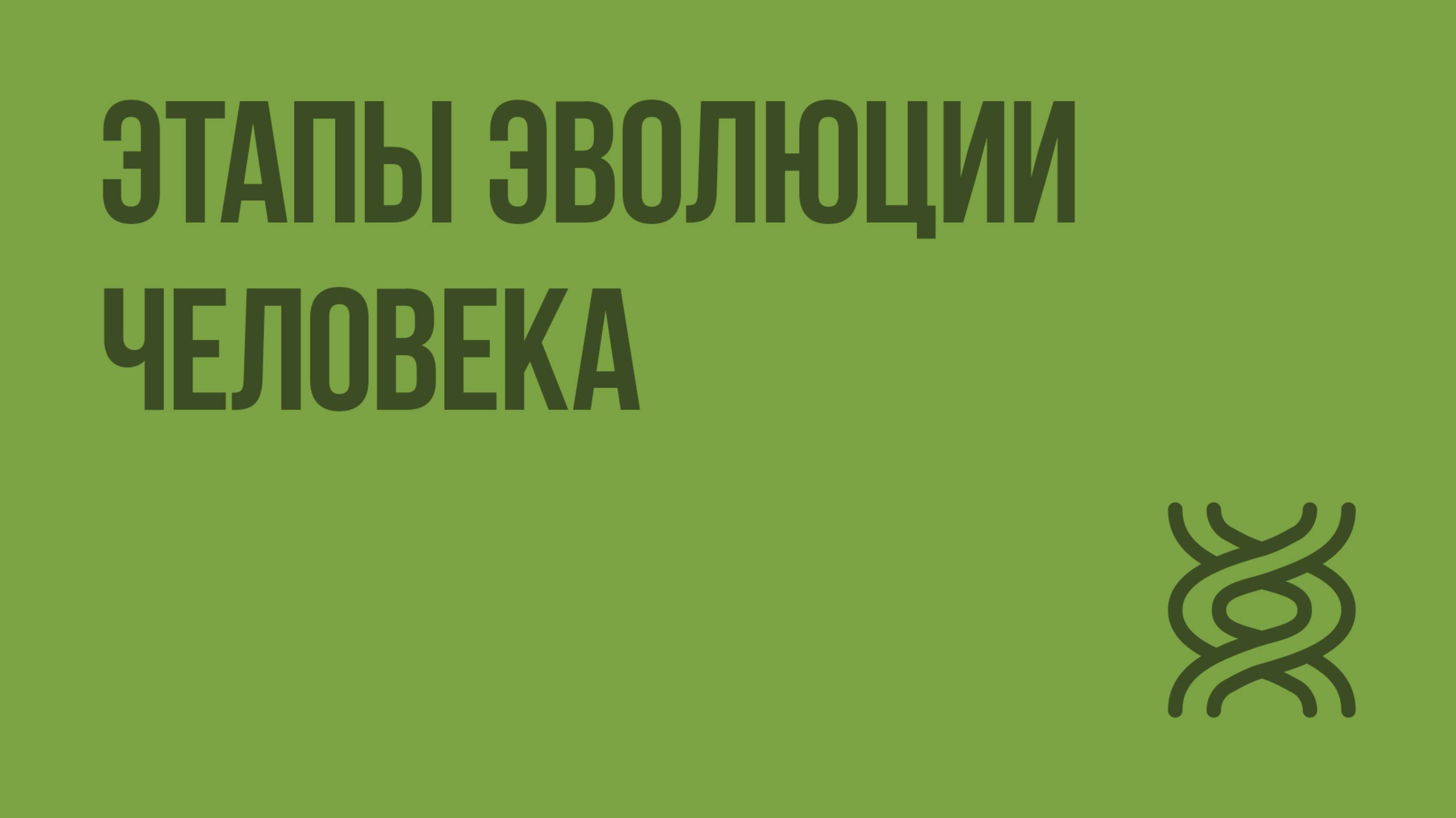 Этапы эволюции человека. Видеоурок по биологии 9 класс