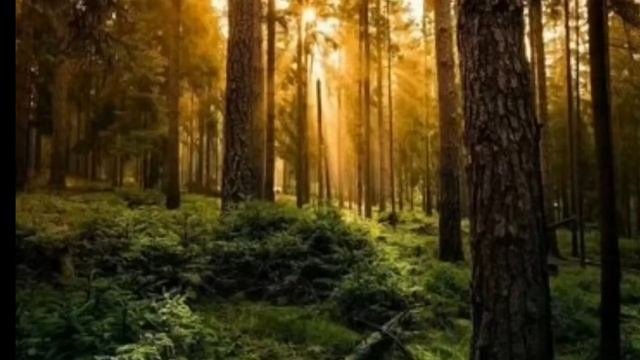 Сидим с бобром (та самая бобр курва)