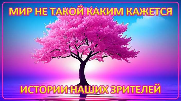 070 Мир не такой каким кажется Новые истории наших зрителей