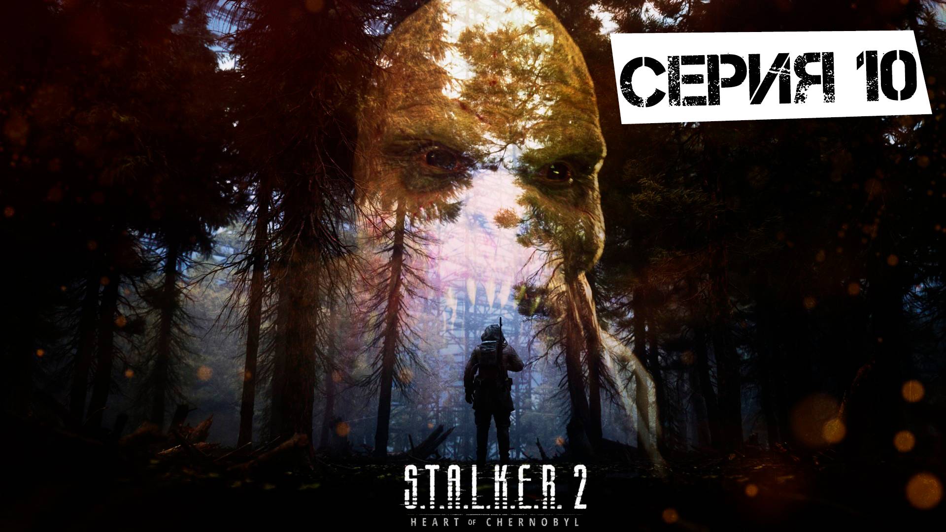 S.T.A.L.K.E.R. 2 Heart Of Chornobyl #10. Темная Долина