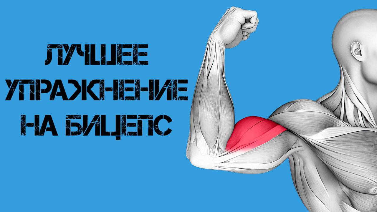 Как накачать бицепс? Одно из лучших упражнений на бицепс