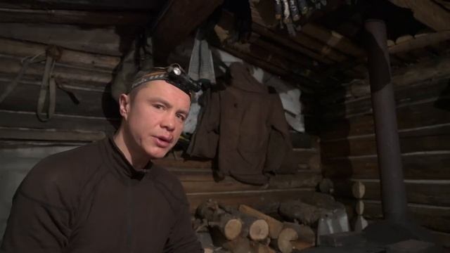 Зимняя охота с лайками на соболя, лося.