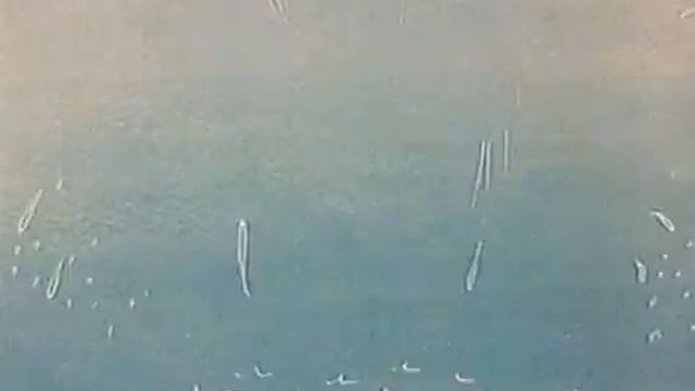 Ну, погоди. 1 выпуск