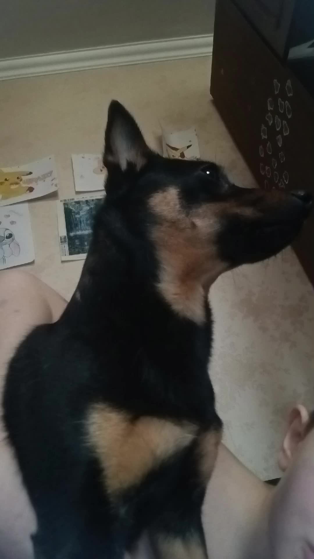 хз что писать