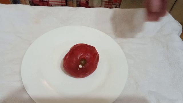 Гниение помидора! Эксперимент