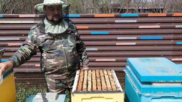 Расширение Пчелосемей без последствий!!!