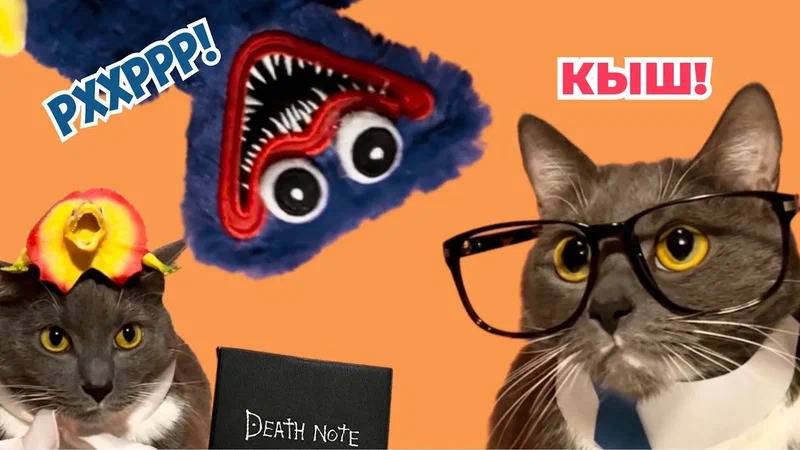 ЕСЛИ БЫ КОТИКИ ХОДИЛИ В ШКОЛУ - ЛЮБИМЫЕ СЕРИИ УЧЕНИКОВ