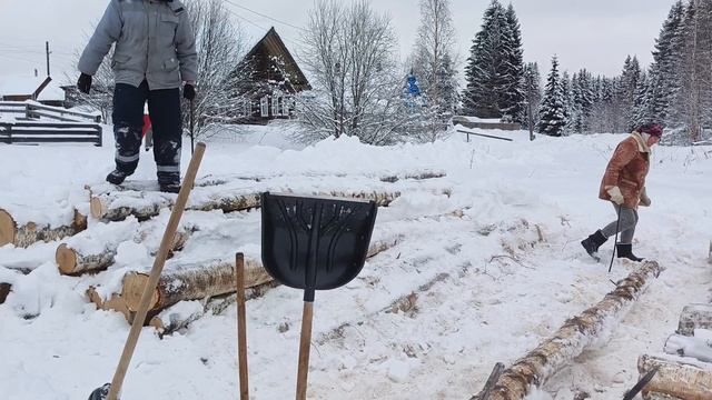 Приехали детки ,распилили дрова.