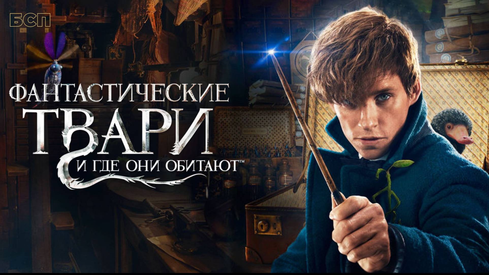Фантастические твари и где они обитают / Fantastic Beasts and Where to Find Them (2016)