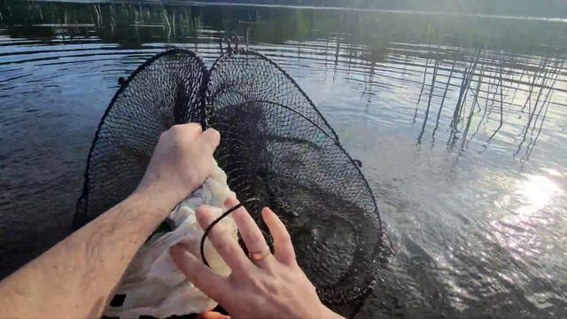 Закинул верши в камыши и наловил карасей! Таких карасей на верши я ещё не ловил!!!