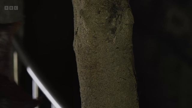 Азия 5 серия «Перенаселённый континент» (документальный сериал, 2024)