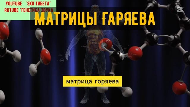 Кто такой Гаряев?Пётр Петрович Гаряев — российский учёный, доктор биологических наук, профессор