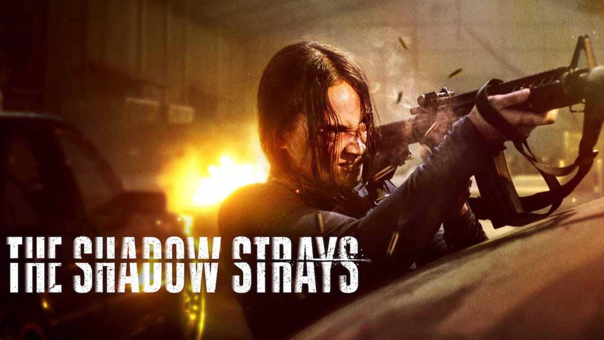 Блуждающая тень (2024) / The Shadow Strays