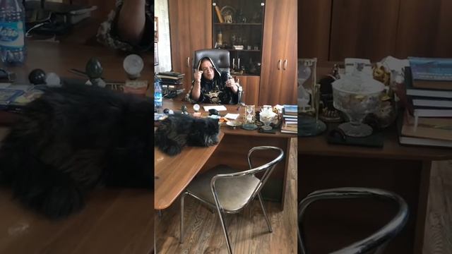 Приворот на кошачий коготь. "Кошка скребёт на чей хребет?"