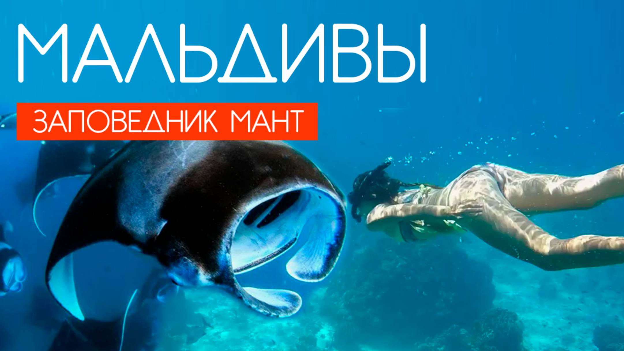 МАЛЬДИВЫ 2025. МАЛЬДИВЫ ДЕШЕВЛЕ ЧЕМ ТУРЦИЯ. ТОП ЭКСКУРСИИ НА МАЛЬДИВАХ. ЗАПОВЕДНИК МАНТ HANIFARU
