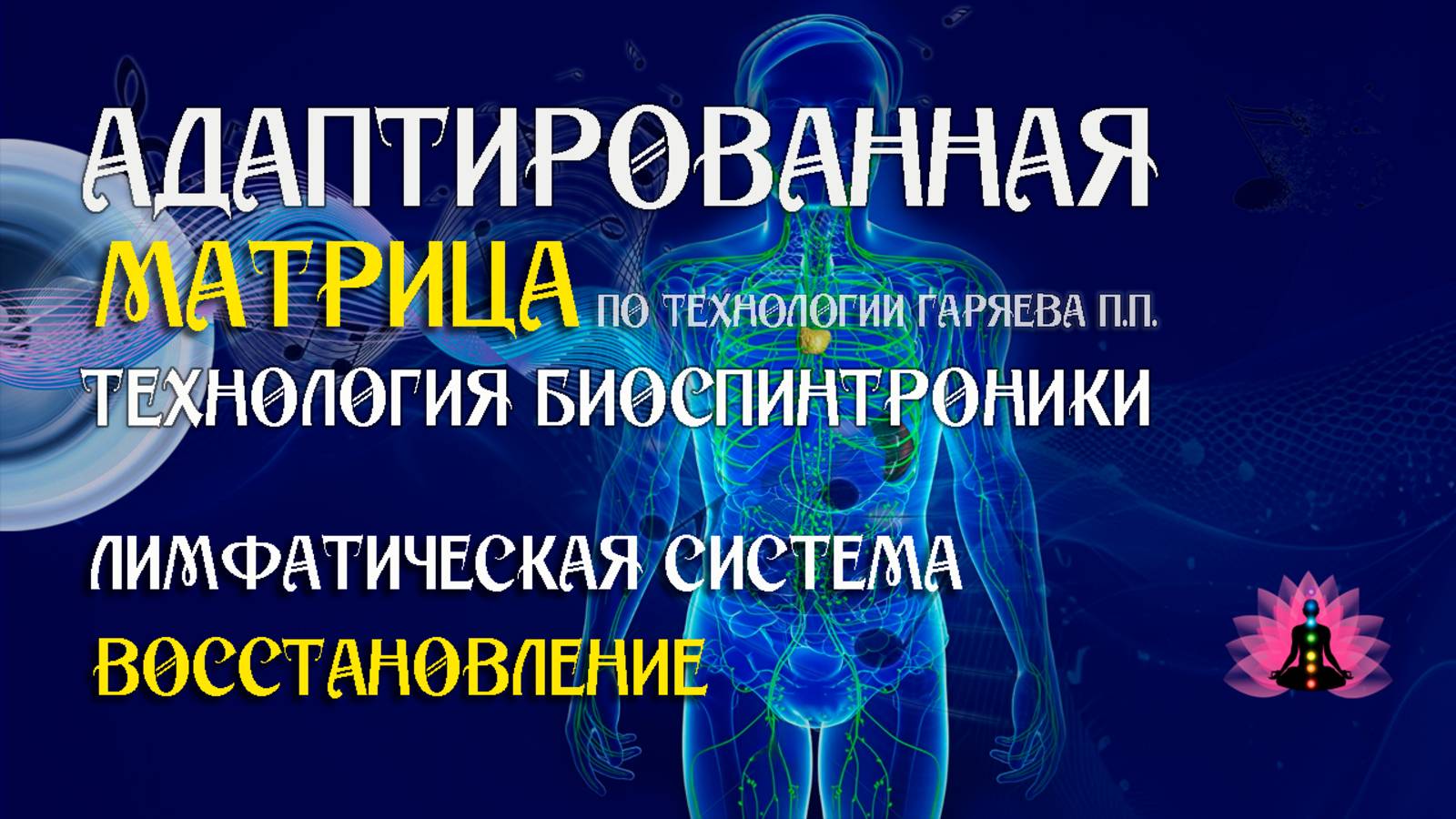 Лимфатическая система 🎶 программа матрица по технологии Гаряева П.П ☀️ SoftRadio.ru