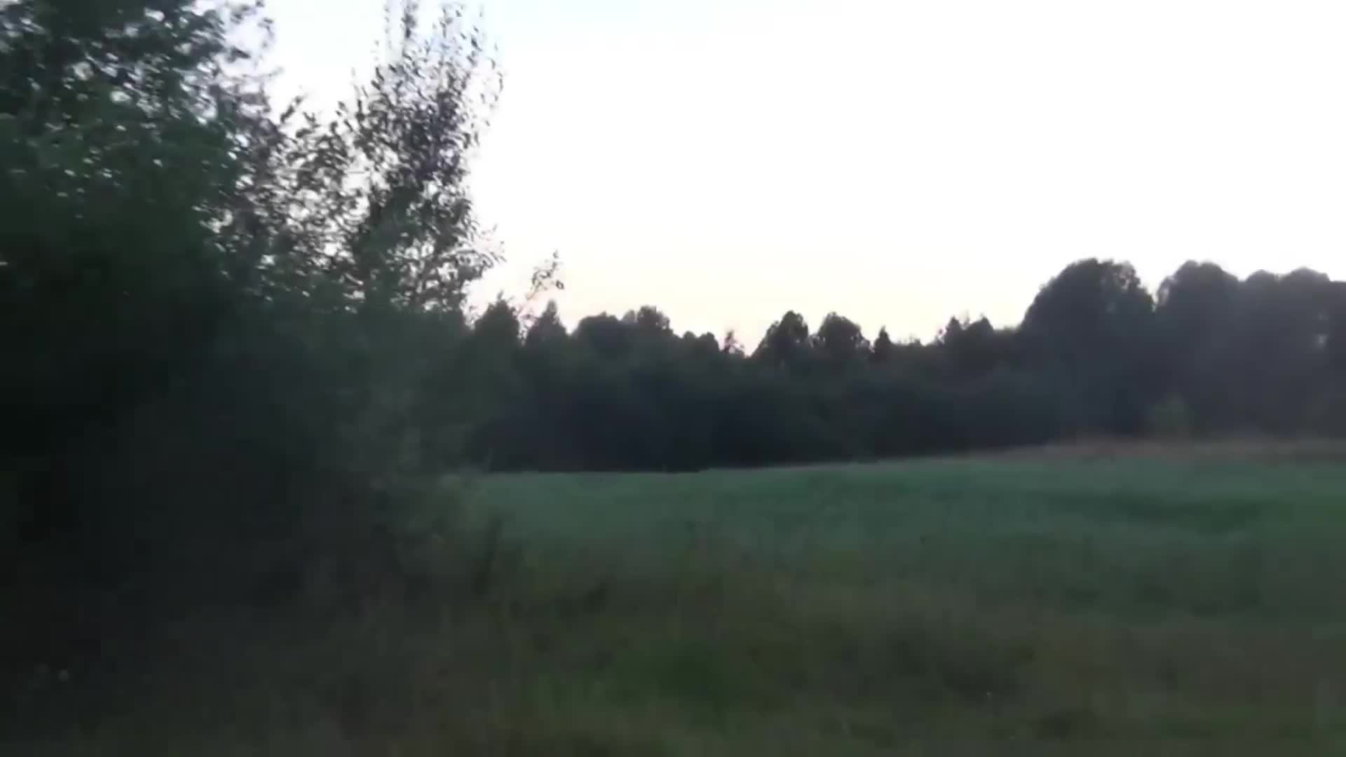 Охота