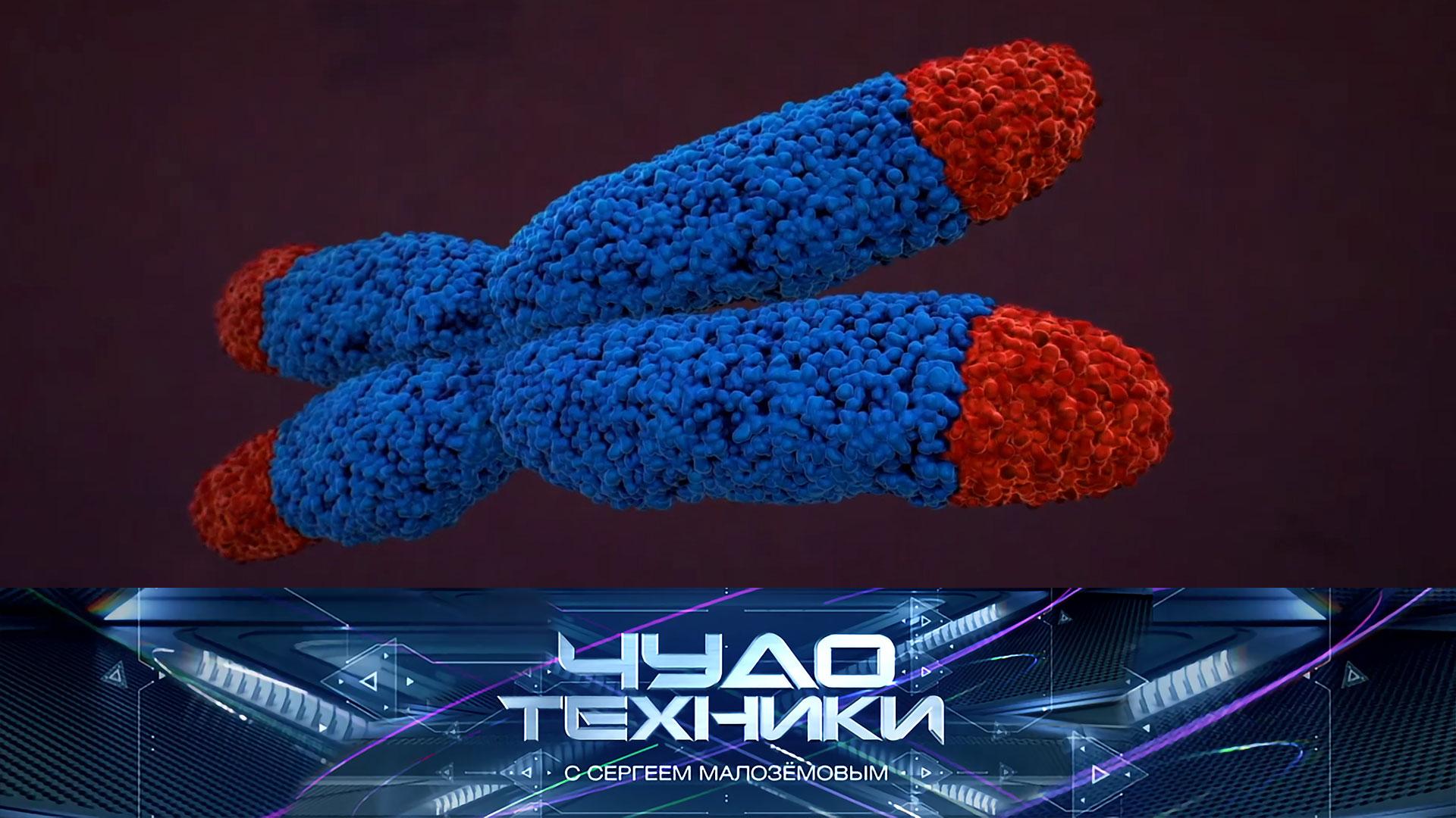 Секрет вечной молодости, выбор снегоуборочной техники и текст кулинарной станции | «Чудо техники»