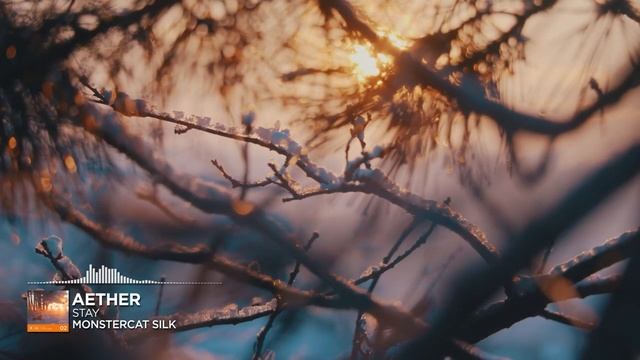 Aether - Stay [Monstercat Release]