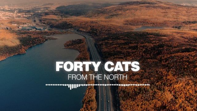 Forty Cats - From The North [Silk Music]