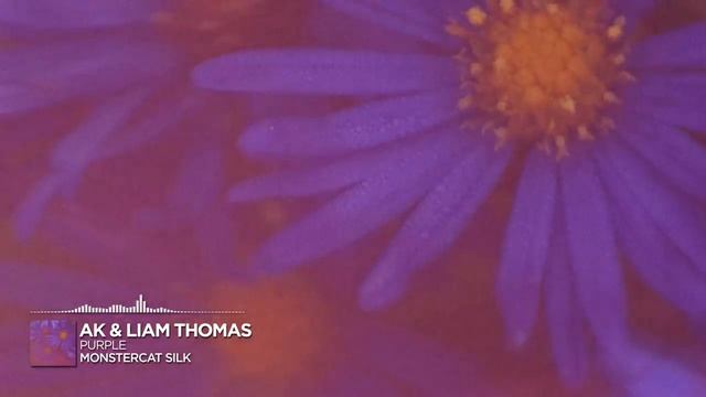 AK & Liam Thomas - Purple [Monstercat Release]