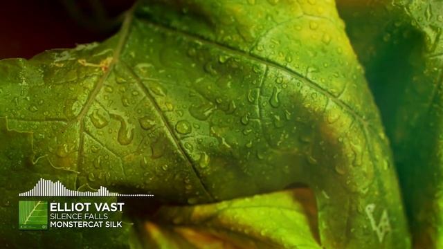 Elliot Vast - Silence Falls [Monstercat Release]